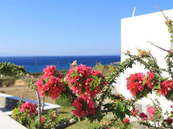 PAROS SEA VIEW APARTMENTS GALLERY 039