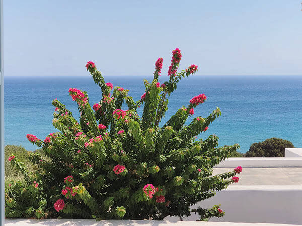 PAROS SEA VIEW APARTMENTS GALLERY 040