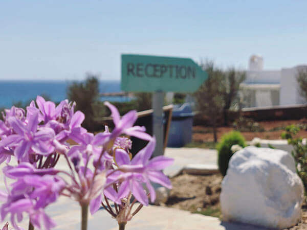 PAROS SEA VIEW APARTMENTS GALLERY 053